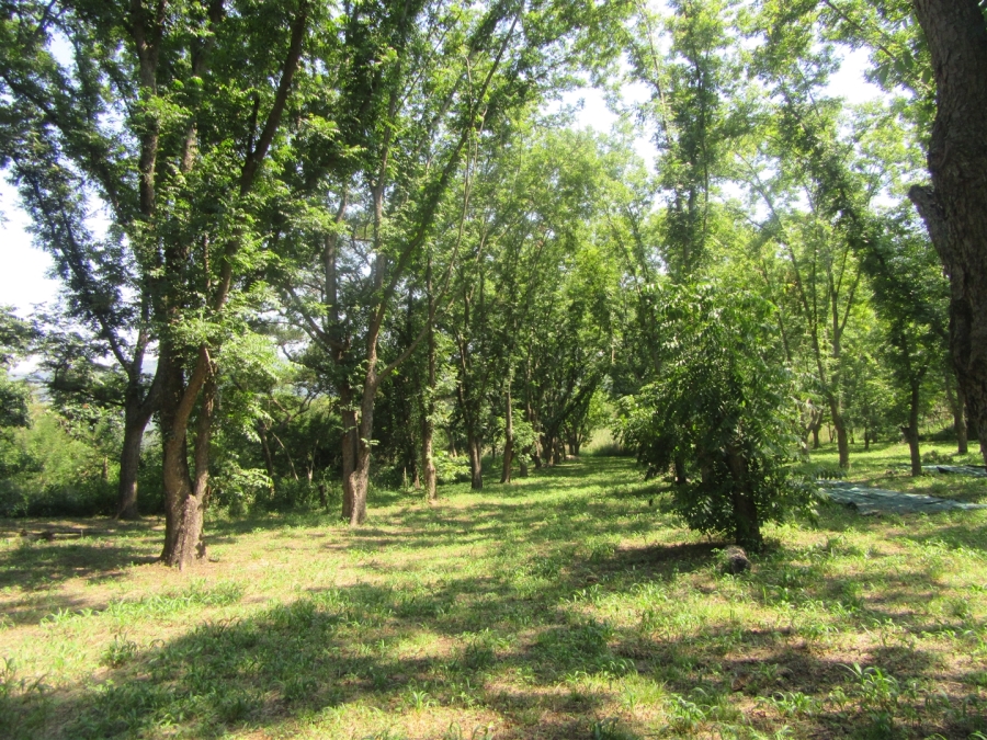 4 Bedroom Property for Sale in Nelspruit Rural Mpumalanga