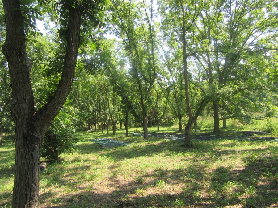 4 Bedroom Property for Sale in Nelspruit Rural Mpumalanga