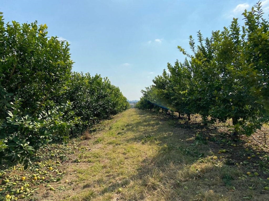 Commercial Property for Sale in White River Mpumalanga