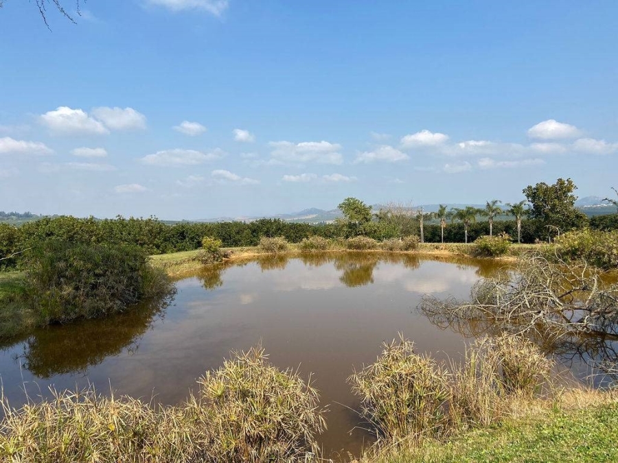 Commercial Property for Sale in White River Mpumalanga