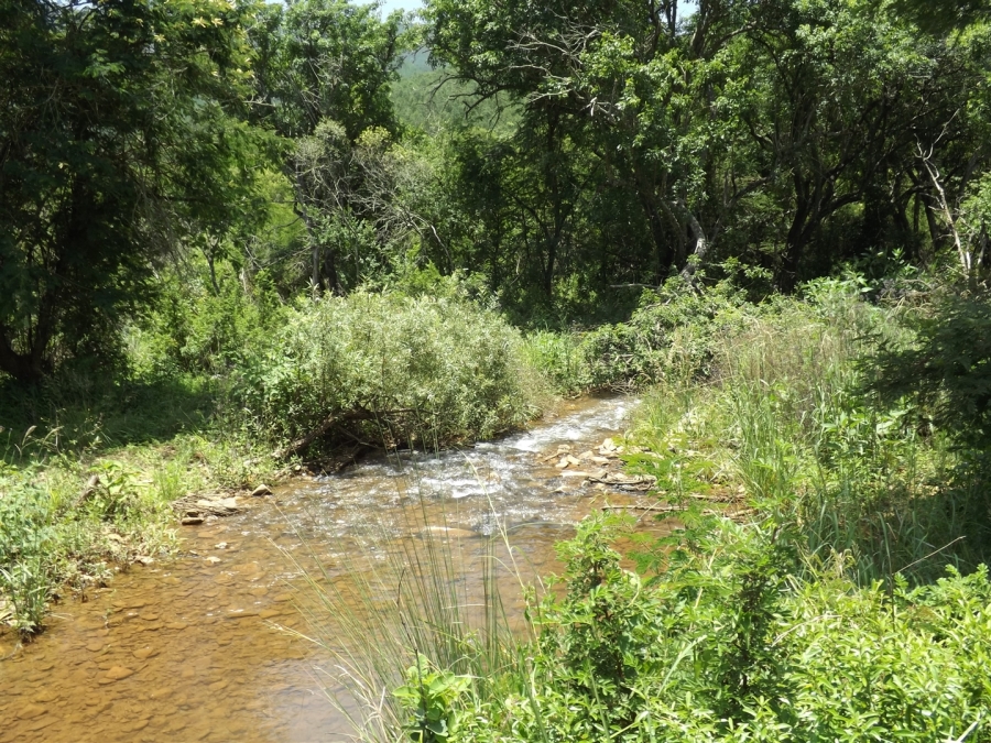 Commercial Property for Sale in Ngodwana Mpumalanga