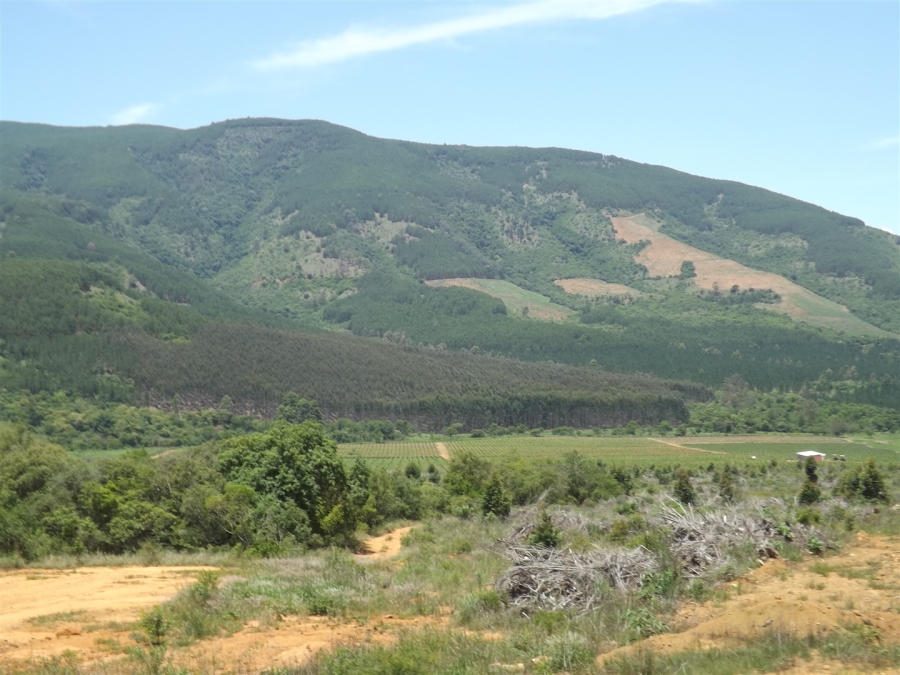 Commercial Property for Sale in Ngodwana Mpumalanga