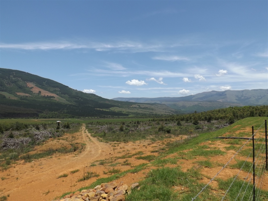 Commercial Property for Sale in Ngodwana Mpumalanga