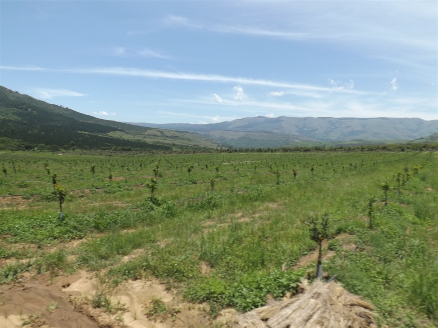 Commercial Property for Sale in Ngodwana Mpumalanga