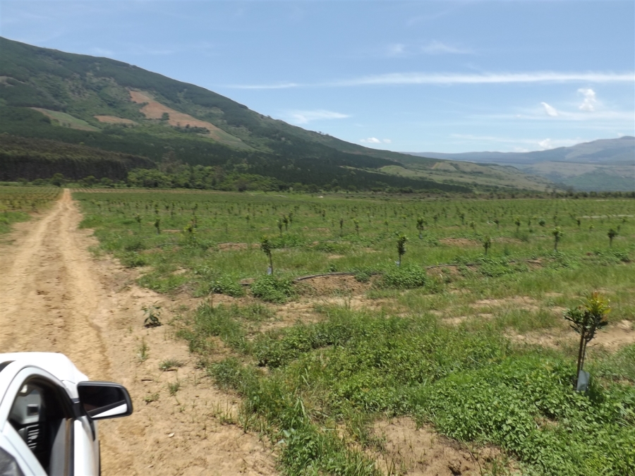 Commercial Property for Sale in Ngodwana Mpumalanga