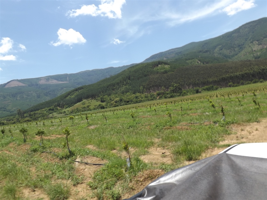 Commercial Property for Sale in Ngodwana Mpumalanga
