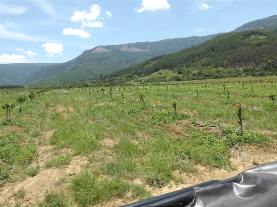 Commercial Property for Sale in Ngodwana Mpumalanga