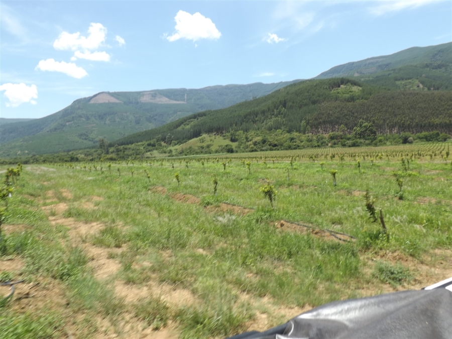 Commercial Property for Sale in Ngodwana Mpumalanga