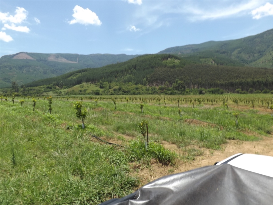 Commercial Property for Sale in Ngodwana Mpumalanga