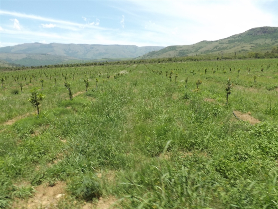Commercial Property for Sale in Ngodwana Mpumalanga