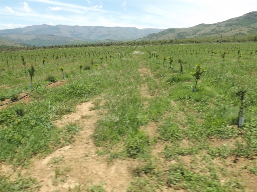 Commercial Property for Sale in Ngodwana Mpumalanga