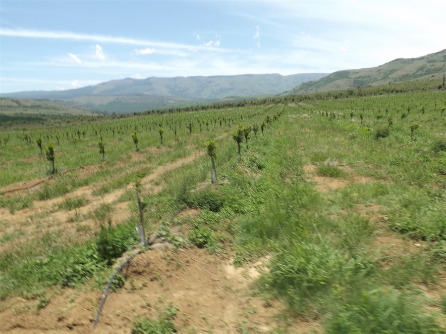 Commercial Property for Sale in Ngodwana Mpumalanga