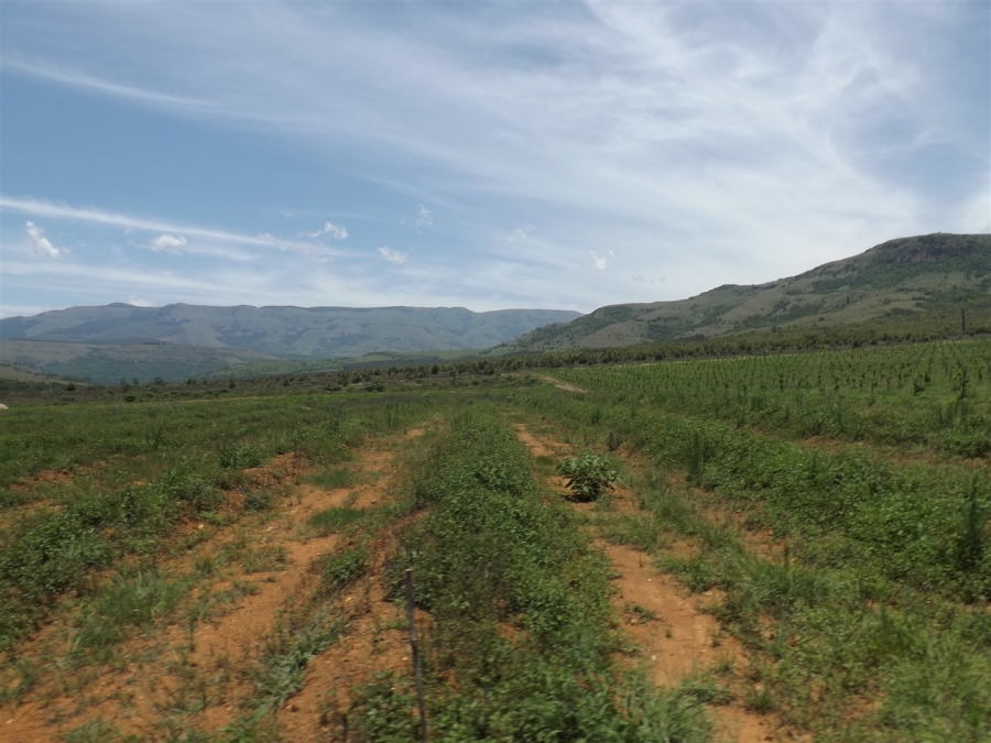 Commercial Property for Sale in Ngodwana Mpumalanga