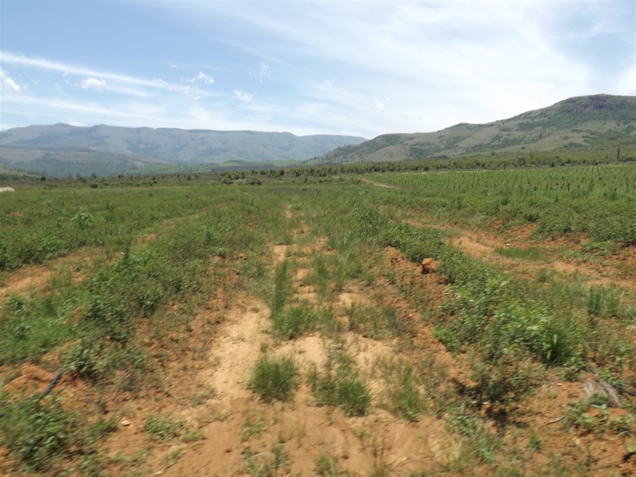 Commercial Property for Sale in Ngodwana Mpumalanga