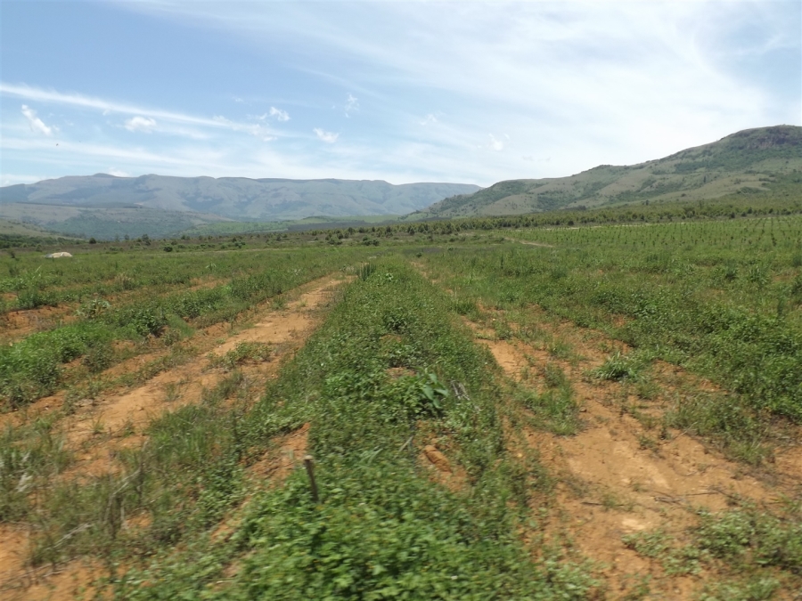 Commercial Property for Sale in Ngodwana Mpumalanga