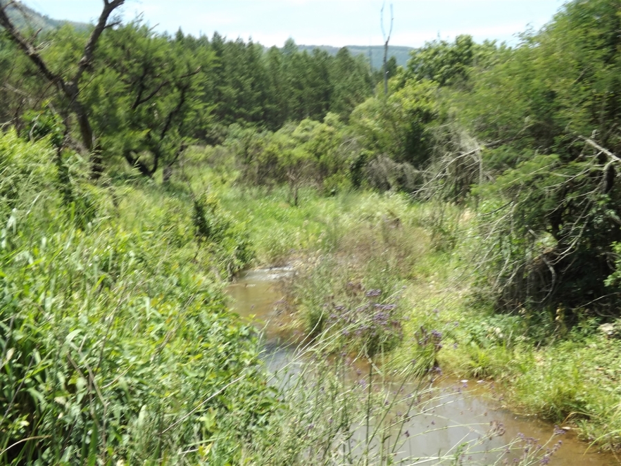 Commercial Property for Sale in Ngodwana Mpumalanga