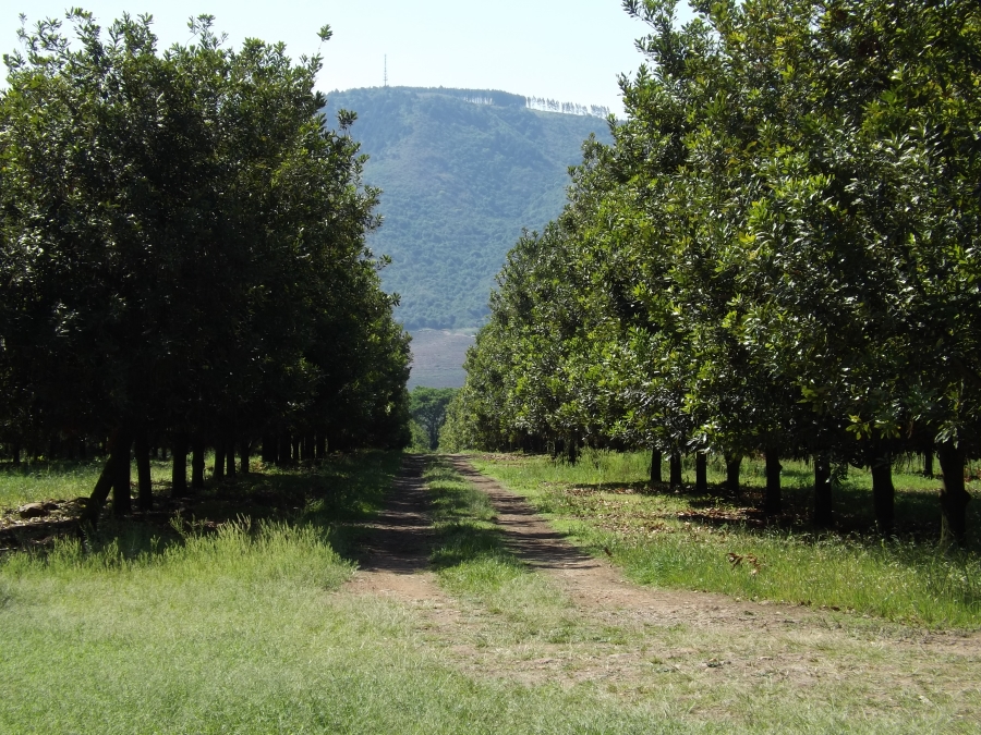3 Bedroom Property for Sale in Nelspruit Rural Mpumalanga