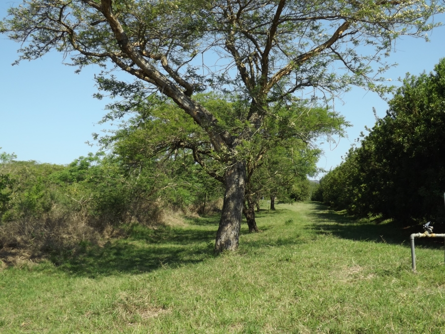 3 Bedroom Property for Sale in Nelspruit Rural Mpumalanga