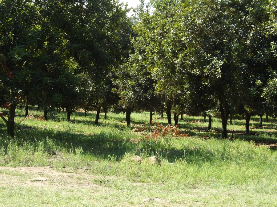 3 Bedroom Property for Sale in Nelspruit Rural Mpumalanga