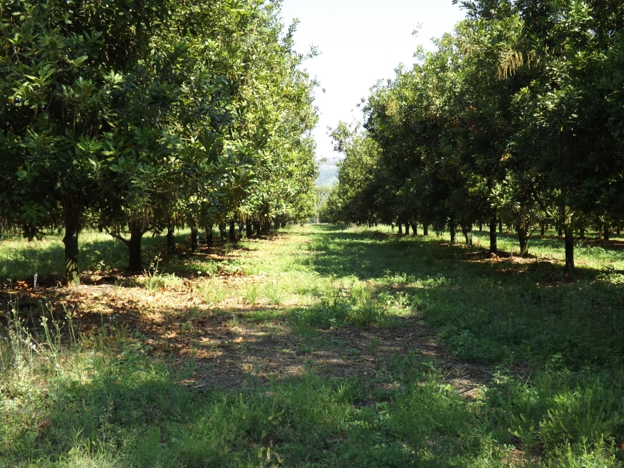 3 Bedroom Property for Sale in Nelspruit Rural Mpumalanga