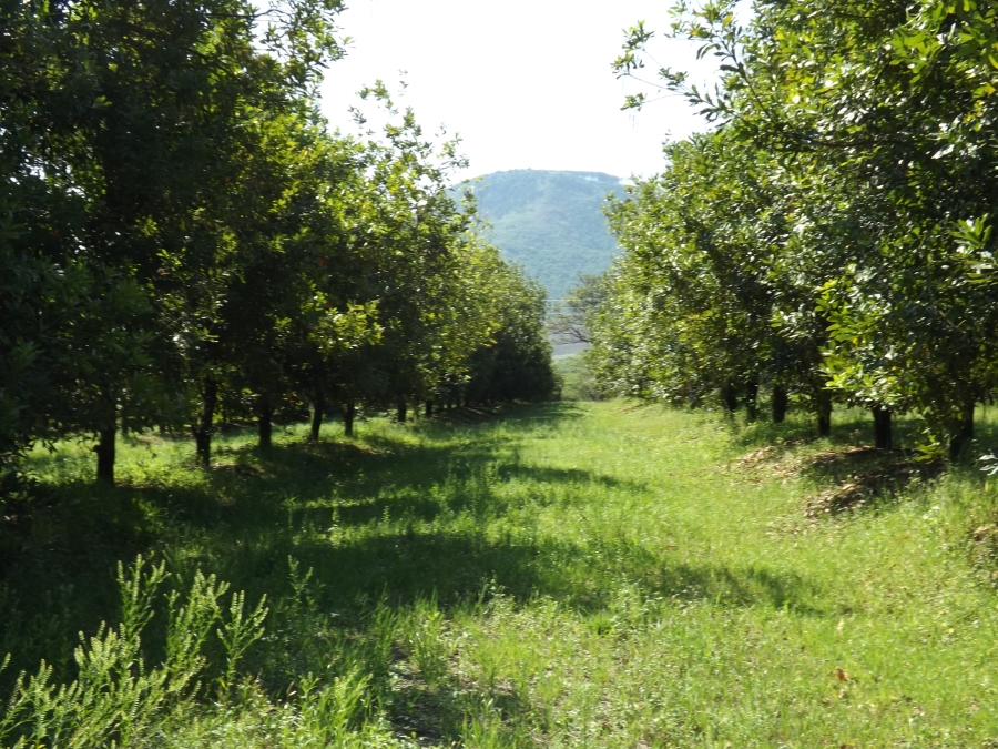 3 Bedroom Property for Sale in Nelspruit Rural Mpumalanga