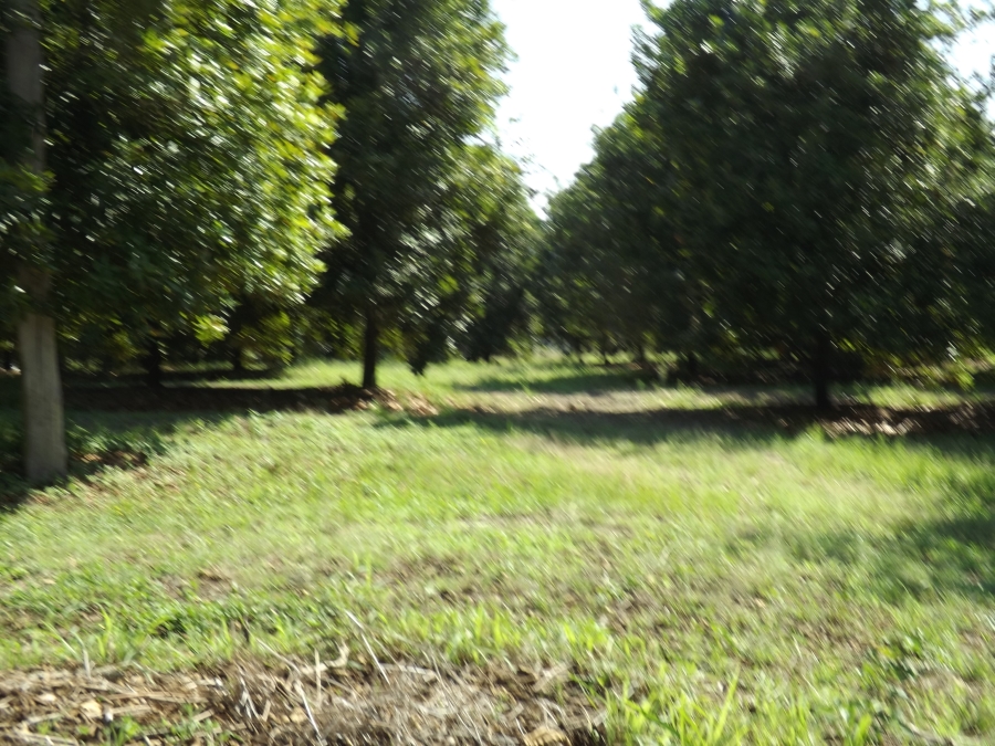 3 Bedroom Property for Sale in Nelspruit Rural Mpumalanga