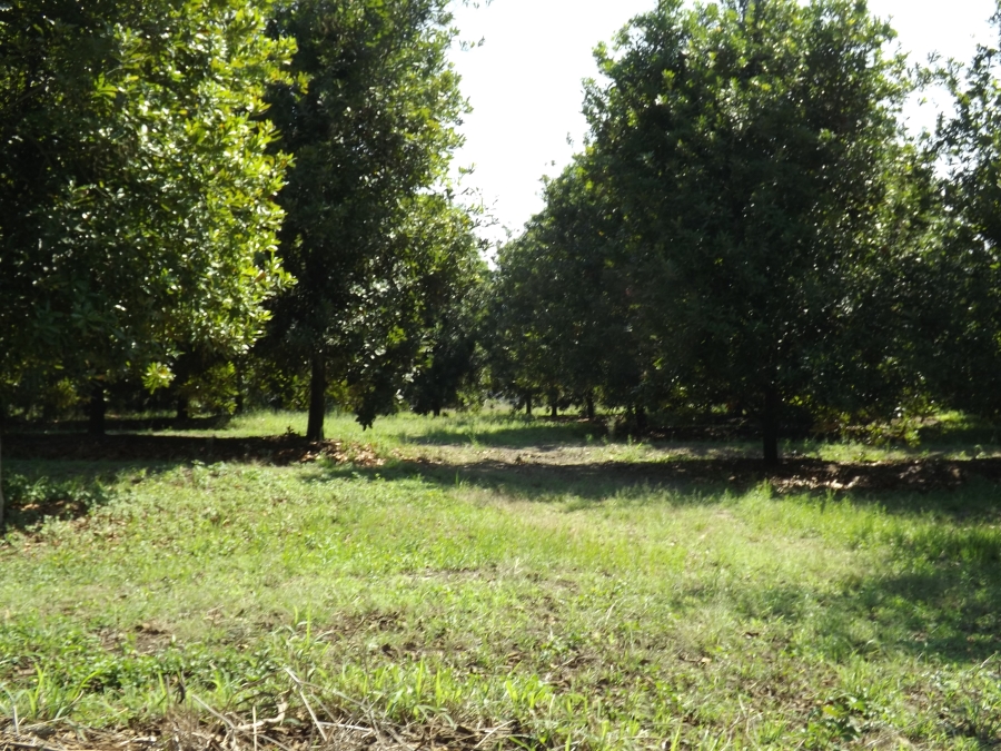 3 Bedroom Property for Sale in Nelspruit Rural Mpumalanga