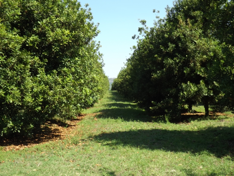 3 Bedroom Property for Sale in Nelspruit Rural Mpumalanga