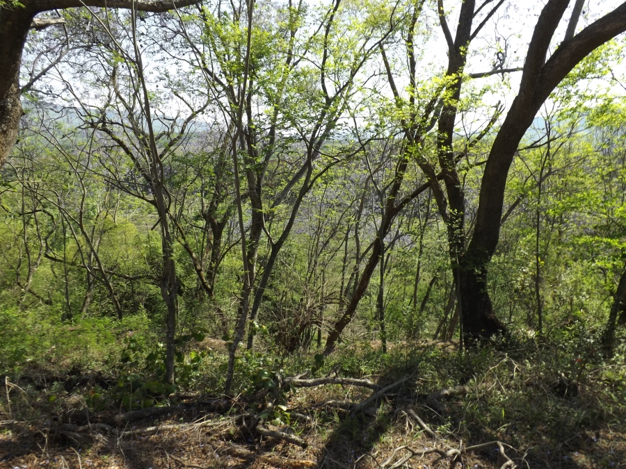3 Bedroom Property for Sale in Nelspruit Rural Mpumalanga