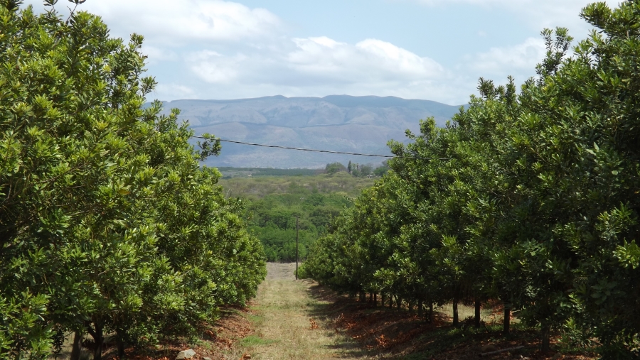 Commercial Property for Sale in Barberton Rural Mpumalanga