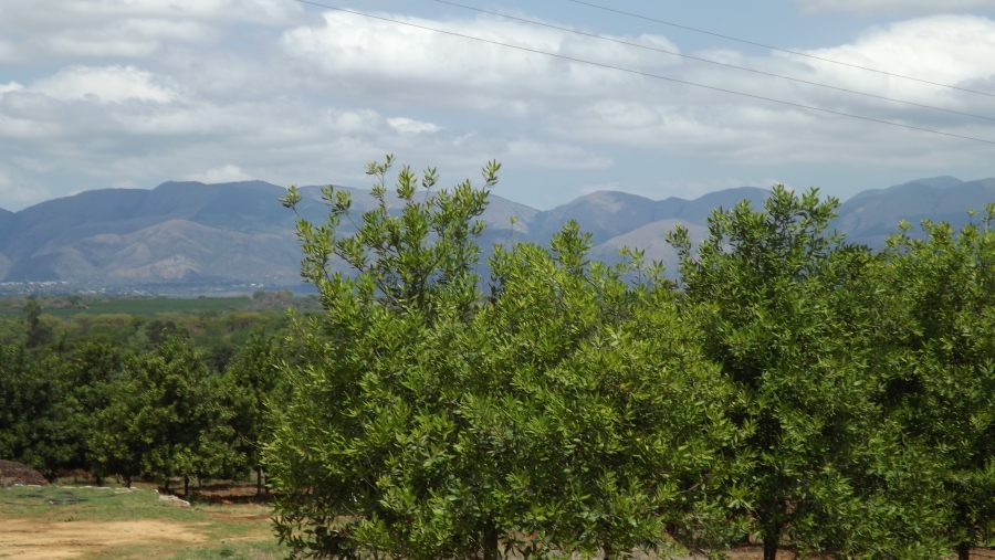Commercial Property for Sale in Barberton Rural Mpumalanga