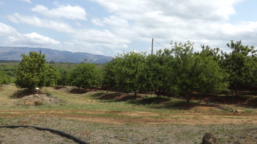 Commercial Property for Sale in Barberton Rural Mpumalanga