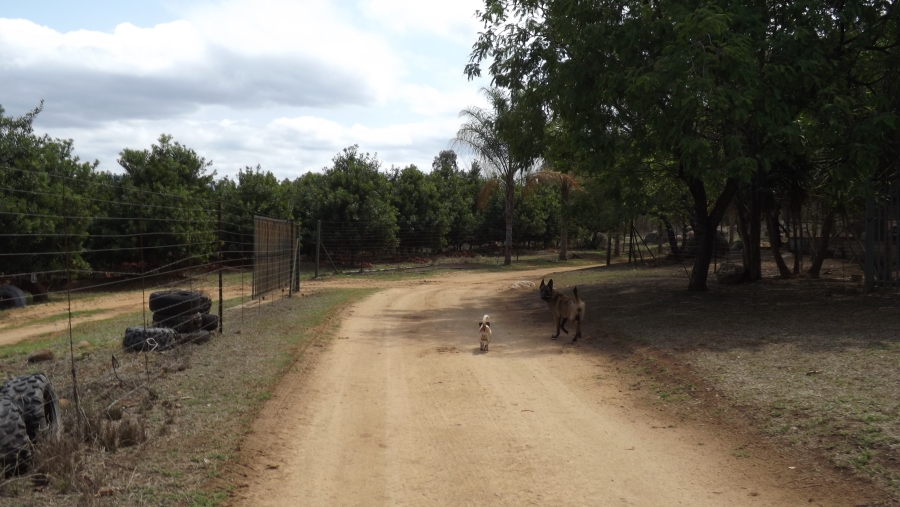 Commercial Property for Sale in Barberton Rural Mpumalanga