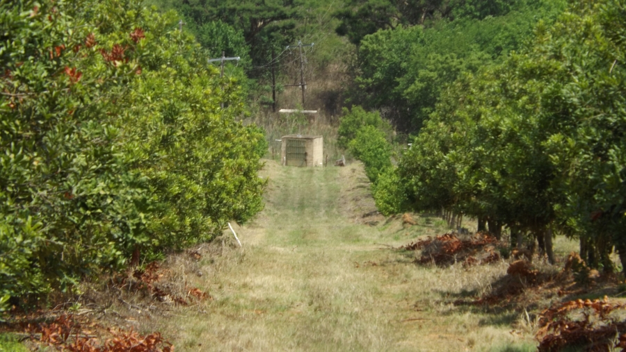Commercial Property for Sale in Barberton Rural Mpumalanga