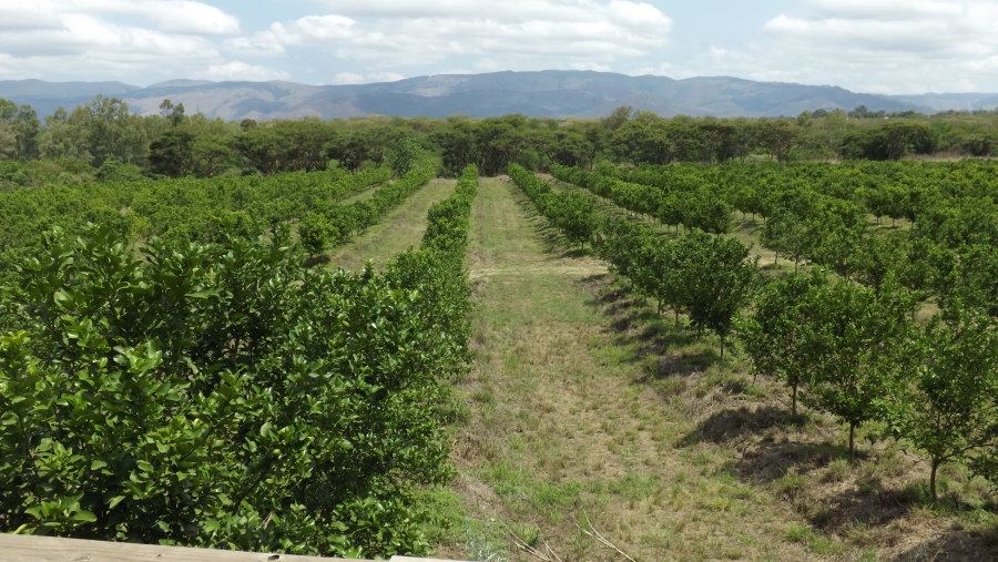 Commercial Property for Sale in Barberton Rural Mpumalanga