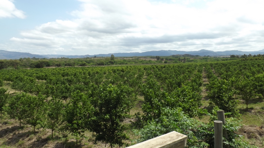 Commercial Property for Sale in Barberton Rural Mpumalanga