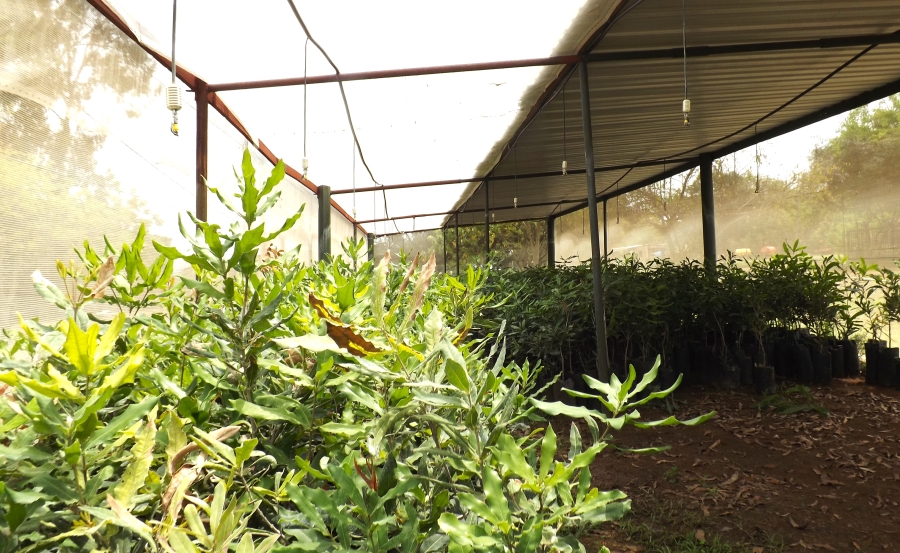 Commercial Property for Sale in Barberton Rural Mpumalanga