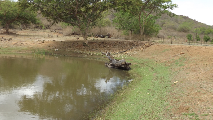 Commercial Property for Sale in Barberton Rural Mpumalanga