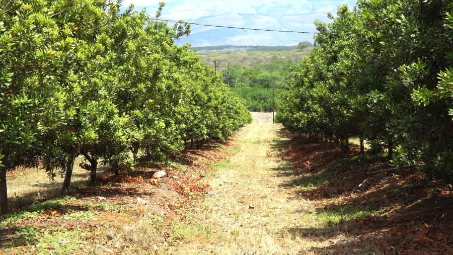 Commercial Property for Sale in Barberton Rural Mpumalanga