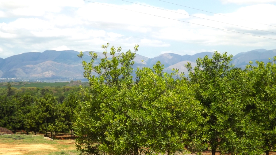 Commercial Property for Sale in Barberton Rural Mpumalanga