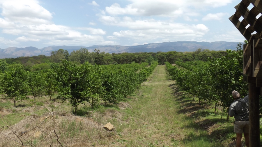 Commercial Property for Sale in Barberton Rural Mpumalanga