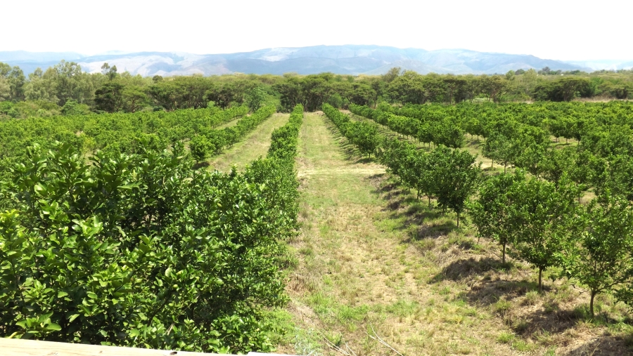 Commercial Property for Sale in Barberton Rural Mpumalanga