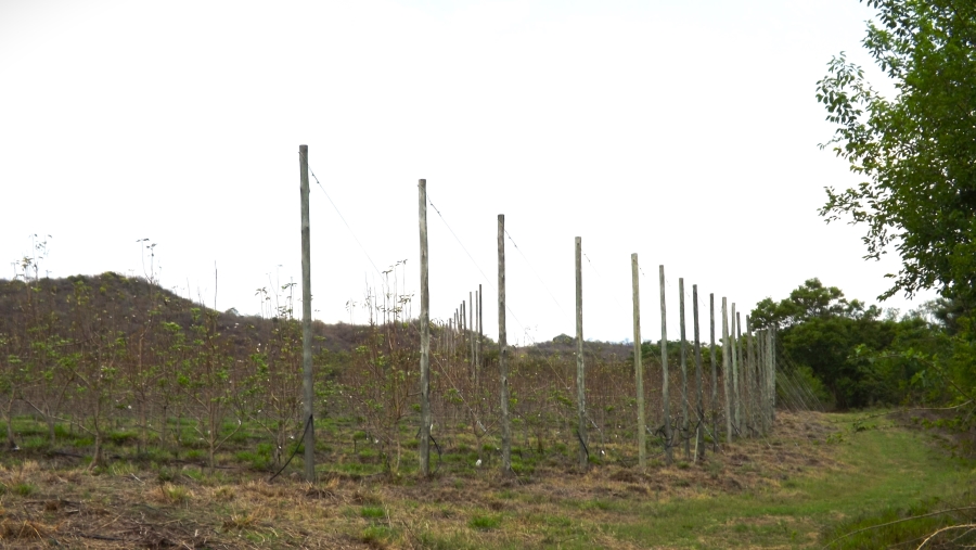 Commercial Property for Sale in Barberton Rural Mpumalanga