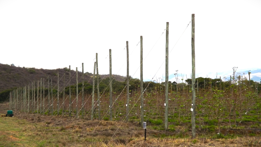 Commercial Property for Sale in Barberton Rural Mpumalanga