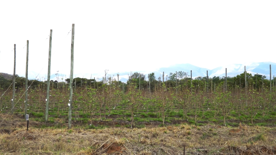 Commercial Property for Sale in Barberton Rural Mpumalanga