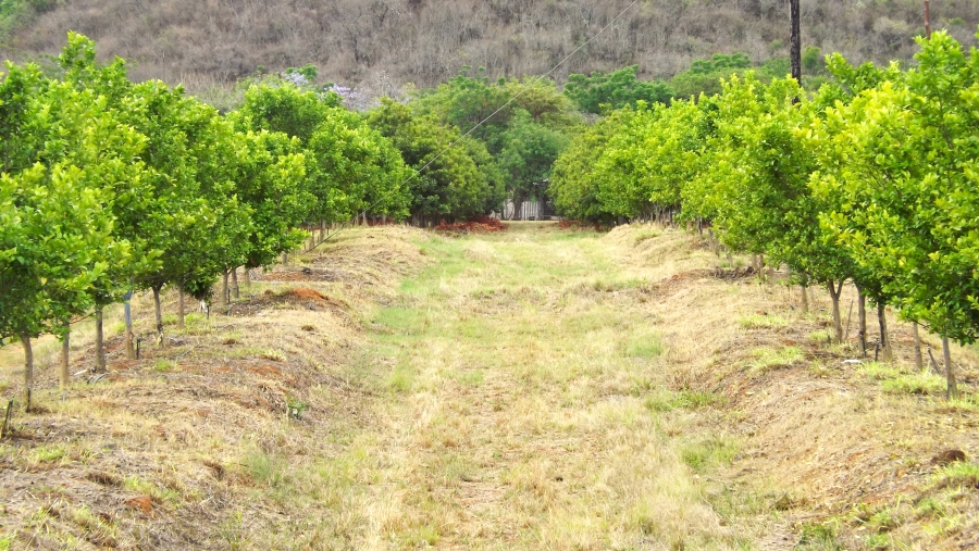 Commercial Property for Sale in Barberton Rural Mpumalanga