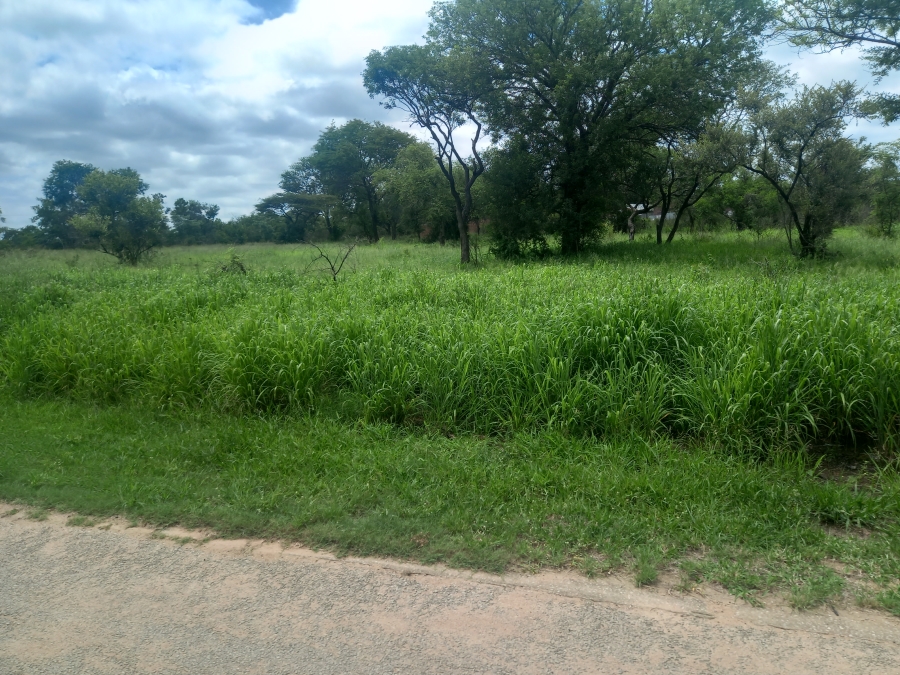 Commercial Property for Sale in Hectorspruit Mpumalanga