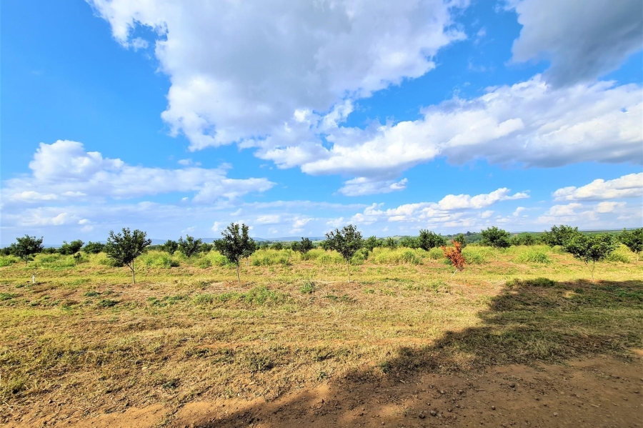 3 Bedroom Property for Sale in Komatipoort Mpumalanga