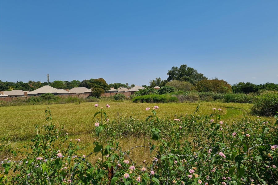 0 Bedroom Property for Sale in Steiltes Mpumalanga