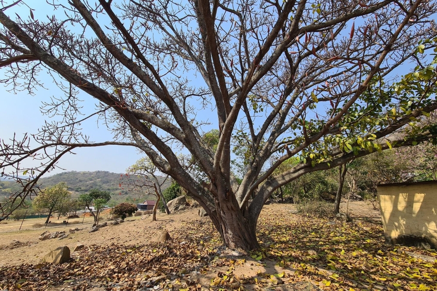 3 Bedroom Property for Sale in Renosterkop Mpumalanga